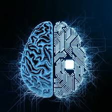 How Many Types does AI Have? And Is It Risky For Human